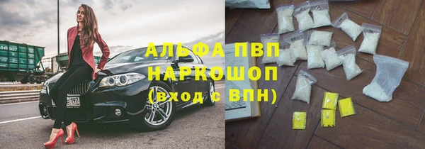 хмурый Верея
