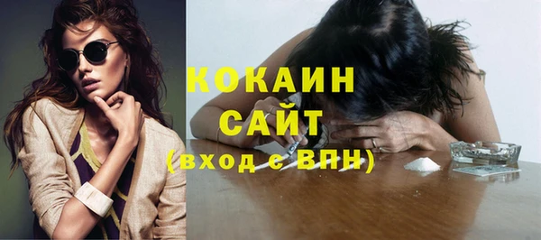 хмурый Верея