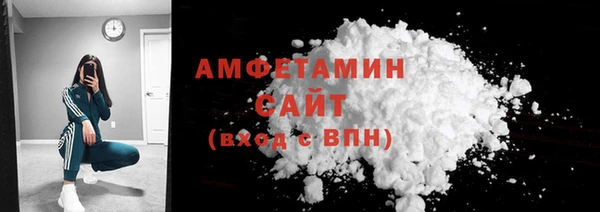 хмурый Верея