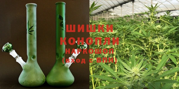 хмурый Верея