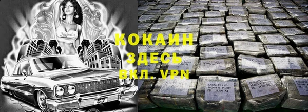 хмурый Верея