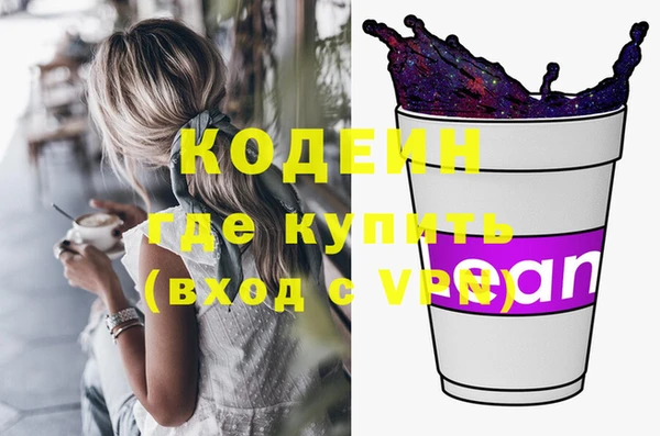 хмурый Верея