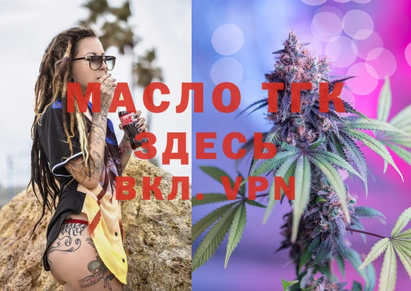 хмурый Верея