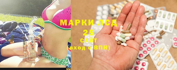 хмурый Верея