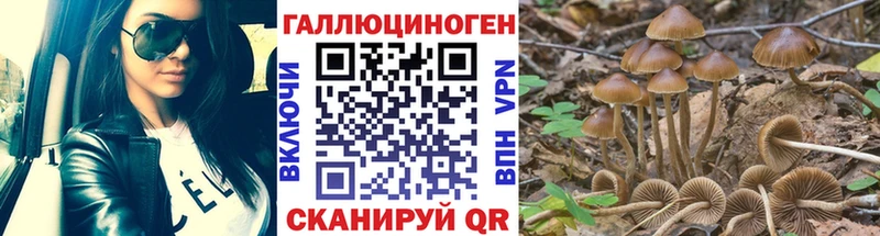 Псилоцибиновые грибы мухоморы Ворсма